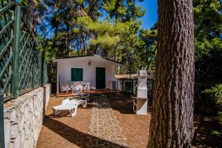 Camping Village Internazionale